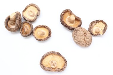 Beyaz Arkaplanda İzole edilmiş Mantar 