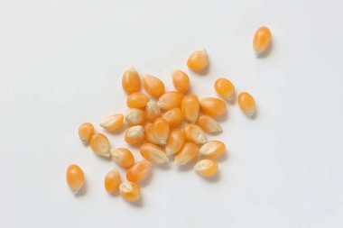 Beyaz arka planda mısır, mısır tohumları 