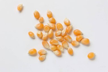 Beyaz arka planda mısır, mısır tohumları 