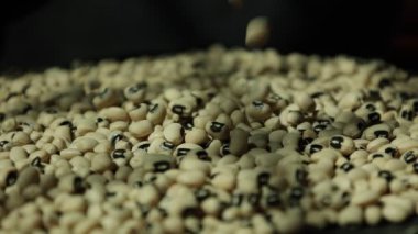 Soya fasulyesi tohumu, soya fasulyesine yakın çekim. 