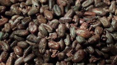 Kavrulmuş kahverengi kakao çekirdekleri yakından.