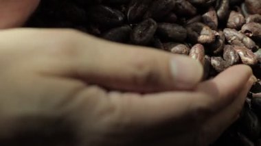 Kavrulmuş kahverengi kakao çekirdekleri yakından.