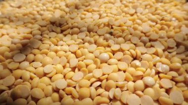 Yakın plan mısır tohumu, kurumuş mısır 