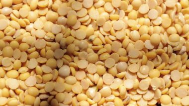 Sarı soya tohumuna yakın çekim. 