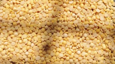 Sarı soya tohumuna yakın çekim. 