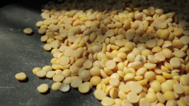 Sarı soya tohumuna yakın çekim. 