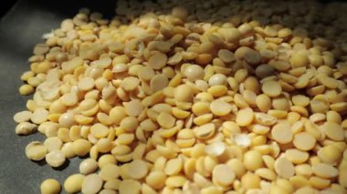 Sarı soya tohumuna yakın çekim. 