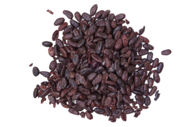 Kahverengi kakao çekirdeği beyaz arka planda izole edilmiş. 