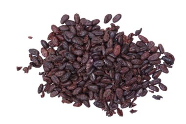 Kahverengi kakao çekirdeği beyaz arka planda izole edilmiş. 