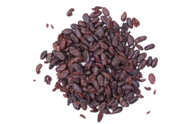 Kahverengi kakao çekirdeği beyaz arka planda izole edilmiş. 