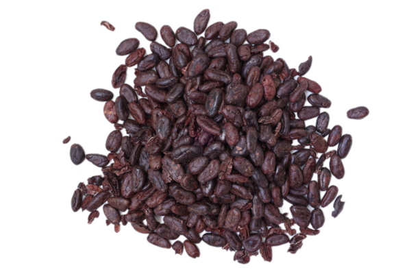 Kahverengi kakao çekirdeği beyaz arka planda izole edilmiş. 