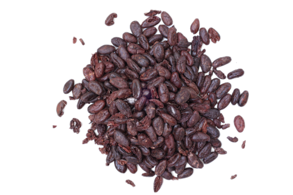 Kahverengi kakao çekirdeği beyaz arka planda izole edilmiş. 