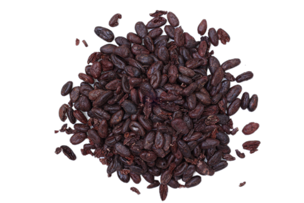 Kahverengi kakao çekirdeği beyaz arka planda izole edilmiş. 