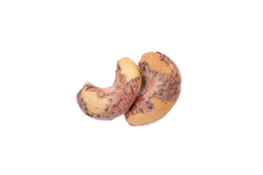 Ceviz fıstığı beyaz, fındık yiyeceği izole edilmiş. 