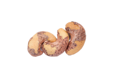 Ceviz fıstığı beyaz, fındık yiyeceği izole edilmiş. 