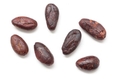 Kahverengi kavrulmuş kakao çekirdeğinden izole edilmiş. 