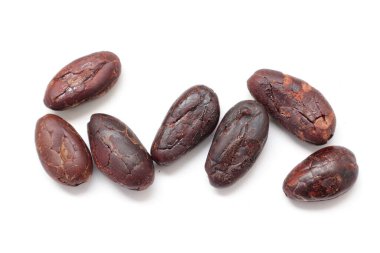 Kahverengi kavrulmuş kakao çekirdeğinden izole edilmiş. 