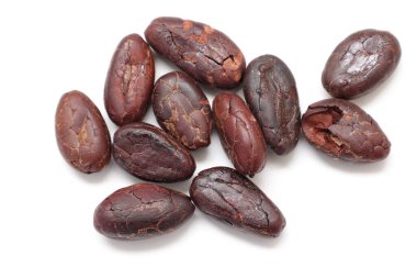 Kahverengi kavrulmuş kakao çekirdeğinden izole edilmiş. 