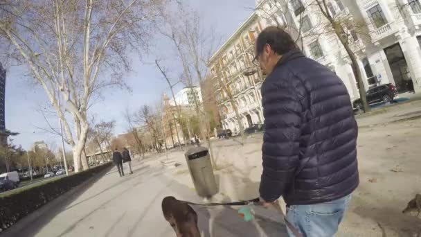 Περιπατητής Σκύλων Γυαλιά Που Πετάει Περιττώματά Του Σκουπιδοτενεκέ Στην Πόλη — Αρχείο Βίντεο