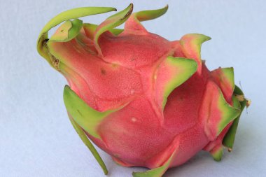 The Dragon Fruit white background
