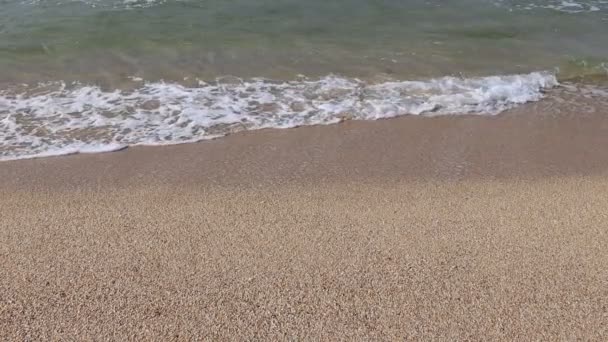 Wave Sand Tropical Beach Beach Slow Motion Video — Wideo stockowe