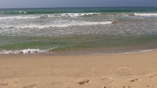 Wave Sand Tropical Beach Beach Slow Motion Video — Wideo stockowe