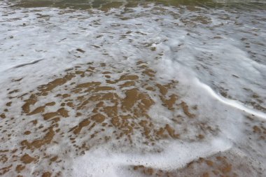 Okyanus kıyısı, kumlu sahil ve ilerleyen dalgalar. Yumuşak kumlu su köpüğü. 