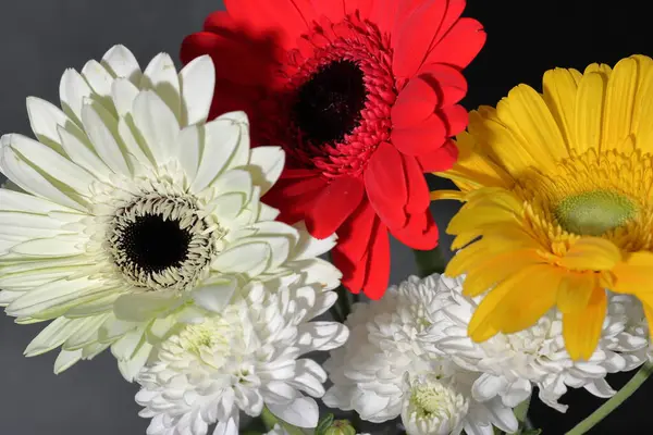 Bukiet Piękny Kolorowe Gerbera Kwiaty Ciemnym Tle — Zdjęcie stockowe