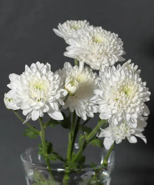 Bouquet Gerbera Fleurs Chrysanthème — Photo