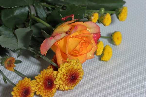 Orange Roses Chrysanthemum — Stock Photo, Image