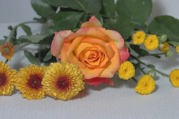 Orange Roses Chrysanthemum — Stock Photo, Image