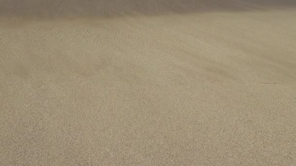 Κύμα Και Παραλία Άμμο Κύμα Και Άμμος Στην Τροπική Παραλία — Αρχείο Βίντεο