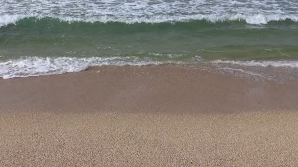 Fala Piaszczysta Plaża Fala Piasek Tropikalnej Plaży Plaża Slow Motion — Wideo stockowe