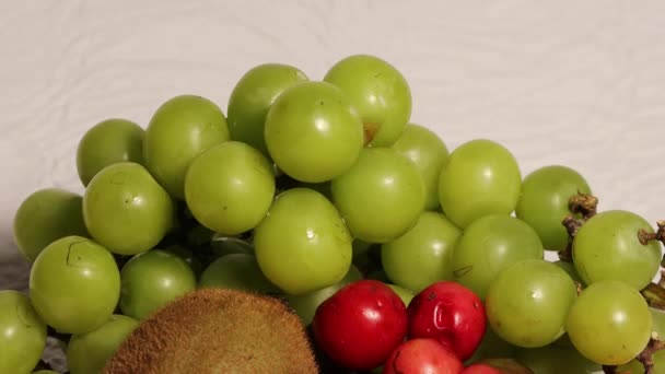 Colección Frutas Maduras Video — Vídeos de Stock