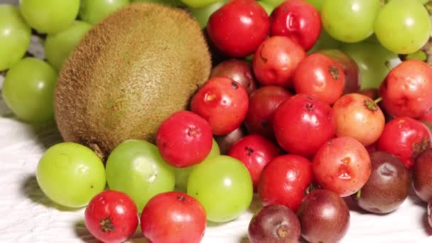 Colección Frutas Maduras Video — Vídeo de stock