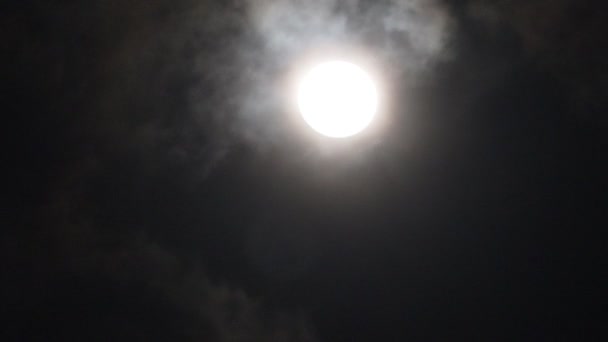 Pleine Lune Nuages Blancs Sur Scène Ciel Nocturne Noir Vidéo — Video