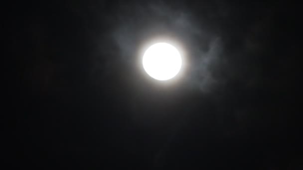 Luna Piena Nuvole Bianche Sulla Scena Del Cielo Notturno Nero — Video Stock