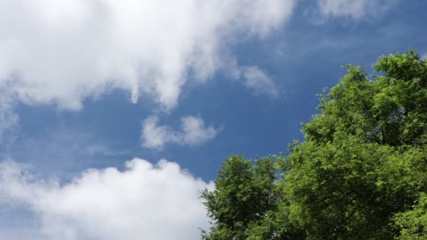 Blue Sky Background Clouds Blue Sky Video — Stock Video