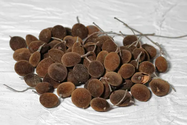 Beyaz arka planda izole edilmiş kadife demirhindi meyveleri (Dialium cochinchinense). Beyaz arka planda izole edilmiş, dialium hindiçin veya kadife tamarind..