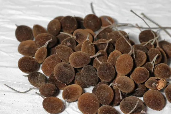 Beyaz arka planda izole edilmiş kadife demirhindi meyveleri (Dialium cochinchinense). Beyaz arka planda izole edilmiş, dialium hindiçin veya kadife tamarind..