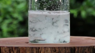 Su şişesinin içinde yüzen aloe vera kesikleri. Suyun içine aloe vera sıçratmanın yavaş hareketi