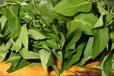 su ıspanağı ahşap arka planda izole edilmiş