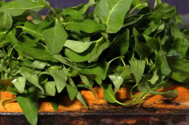 water spinach isolated on wooden background clipart