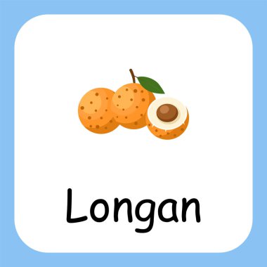Metin Vektörü Tasarımı ile Longan 'ın Düz Çizimi. Çocuklar için Eğitim.