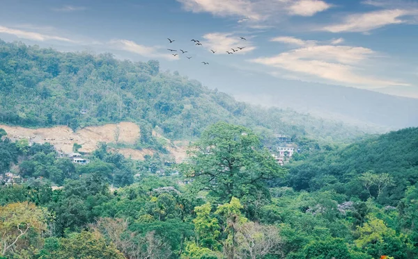 stock image Beautiful hill and flying birds in sky