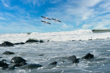 Deniz kıyısındaki büyük kayalar, denize düşen büyük dalgalar. Kuşlar gökyüzünde uçuyor