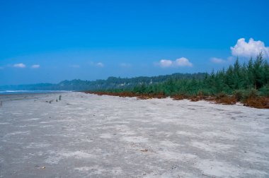 Güzel Zhou Bahçesi denizin yanında görünür. Zhou bahçesi çok uzakta görülebilir. Doğal güzellik