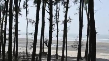 Cox 'un Bangladeş Çarşısı Mavi deniz ağaçların arasından görülebilir