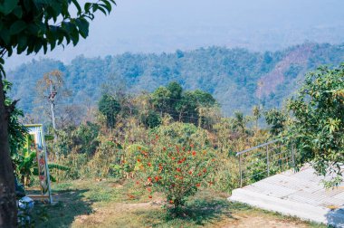 Bandarban, Bangladeş 'in Güzel Dağ Manzarası.