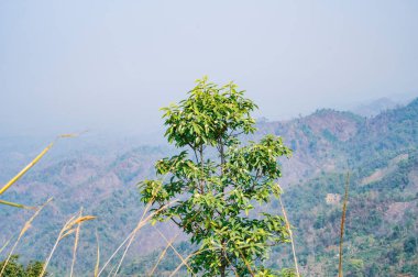 Bandarban 'ın dağ manzarası, Bangladeş